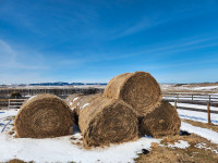 Hay for sale