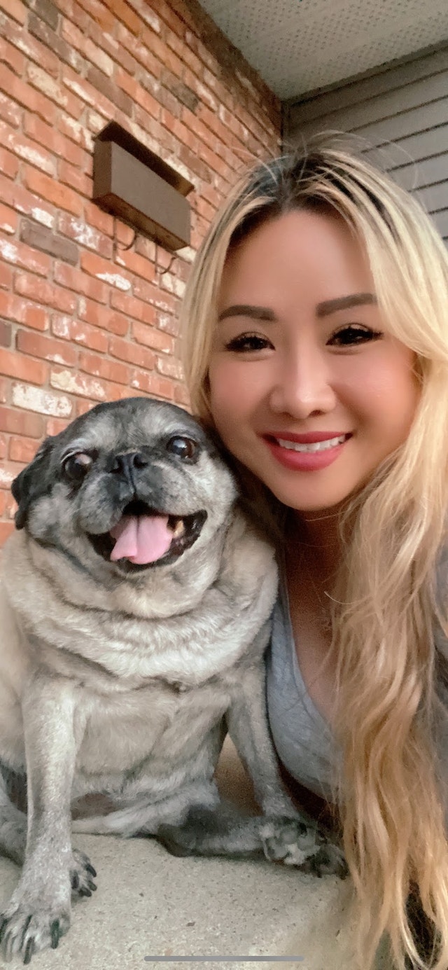 Fur Babysitting & Beyond Animal & Pet Services Edmonton Kijiji