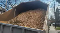 Full wood chips