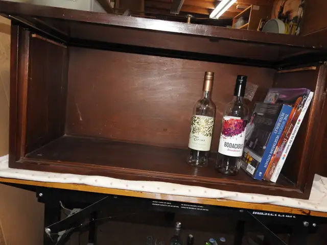 Antique  barrister bookcase repurposed table/counter top display in Storage & Organization in Hamilton - Image 5