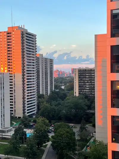 Beautifully lit studio apartment right above the High Park Subway Station (77 Quebec), and full amen...