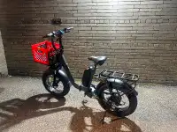 Foldable fat e-bike Teslica Inspire N1S