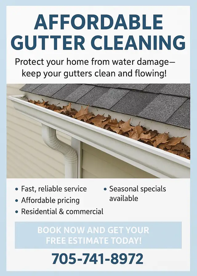 Affordable Eavestrough Cleaning559731859847260163