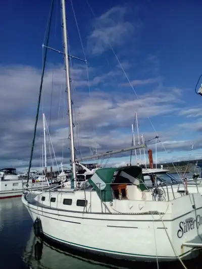 Ahoy, sailors and boating enthusiasts! Set sail on your next adventure with Silver Cloud, a sturdy a...