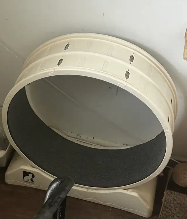 XL  pet treadmill in Accessories in Norfolk County - Image 2
