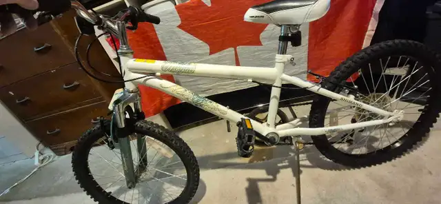Youth Mountain Bike – Fully Tuned, Greased & Tuned Ready to Ride in Kids in London - Image 6