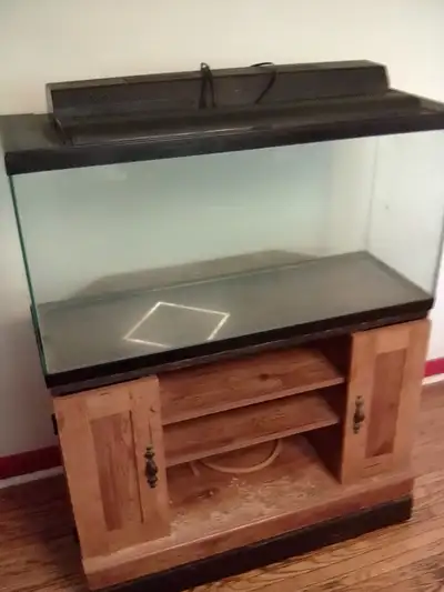 No leaks, comes with wooden stand, light in the tank lid.