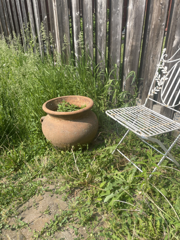 Large Clay Plant Pots in Outdoor Décor in Markham / York Region - Image 3