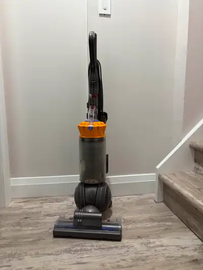 Dyson DC66 large ball vacuum. It is probably 10 years old, but still has great suction. I like this...