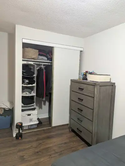 Professional & Clean Room for Rent – Stone Church & Upper Paradise (Hamilton West Mountain) Room ava...