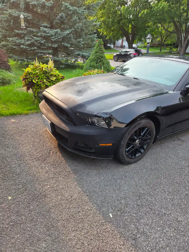 2014 Mustang557469095597199363