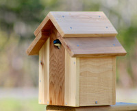 CEDAR TREE SWALLOW NESTING BOX/BIRD HOUSE