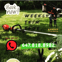 ✅ LAWN MOVING YARD MAINTENANCE FALL/SPRING CLEAN UP VAUGHAN 
