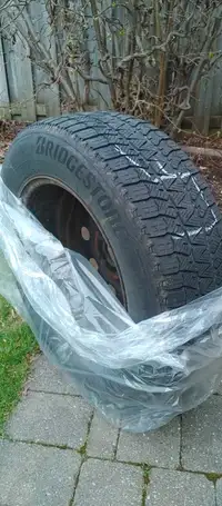 Bridgestone winter tires on rims 