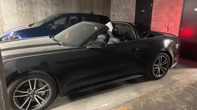 Mustang 2017 eco boost, jamais sorti l’hiver, 4 pneus de 1 an, par vent et roll bar installé l’an de...