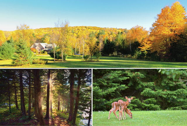 Cottage 30 min from Ottawa in Ontario in Canada - Image 11