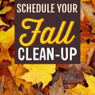 Fall yard clean up, leaf raking, dump runs., View more