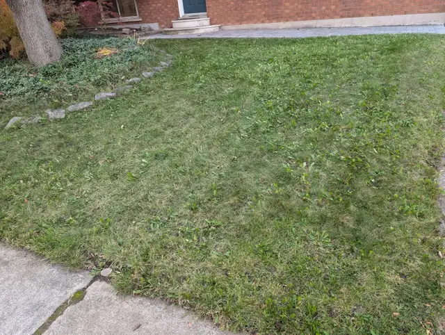Fall Clean Up 2026576946675029135361
