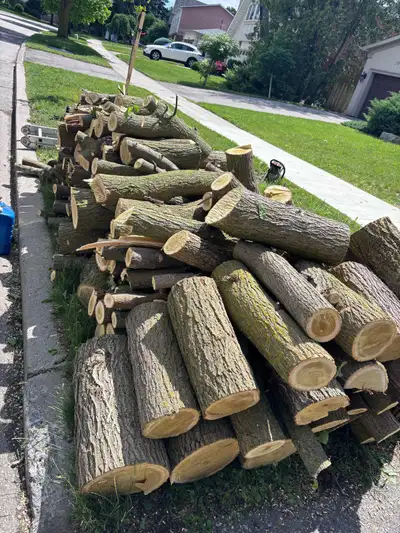free firewood very nicely cut hardwood! see pictures!, View more