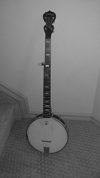 Deering Goodtime Artisan banjo like new