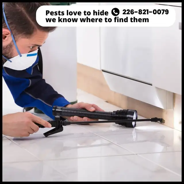 ✆ 226-821-0079 Pest Control – Serving the GTA in Cleaners & Cleaning in Mississauga / Peel Region - Image 8