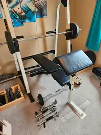 Weider bench and rack