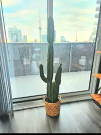Faux Cactus Plant ~54" tall