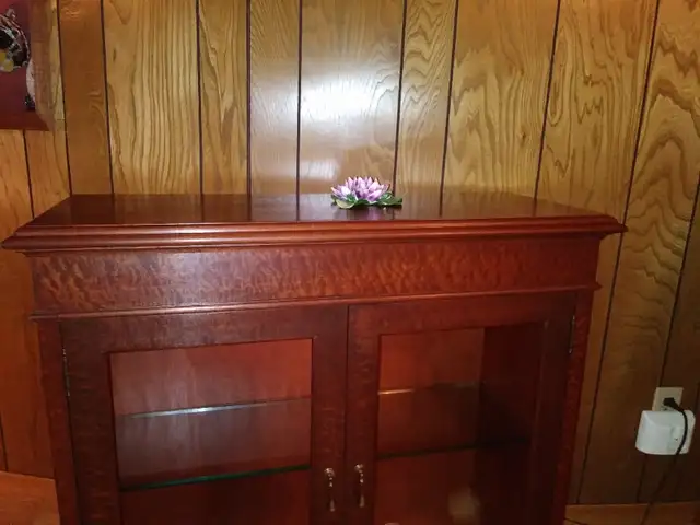 Display cabinet (Markham rd. south of 401) in Hutches & Display Cabinets in City of Toronto - Image 9