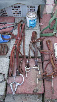 Lot of equine tack & books