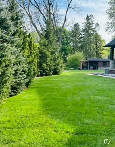 Sod Installation, Grading & Excavation- landscape 9059200613, View more