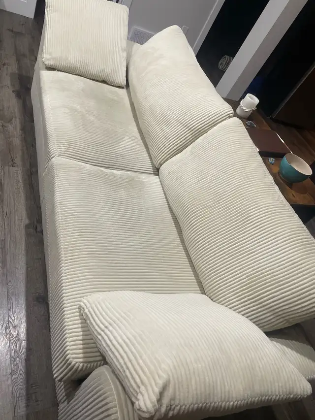 100$ Couch 