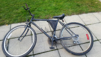 Adult bicycle for sale 