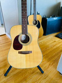 Cort Earth 70 Left Handed Acoustic Guitar 