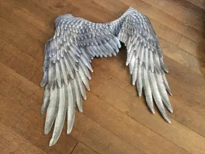 Costume wings, View more
