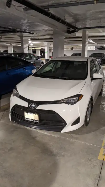 Toyota Corolla 2019 CE White