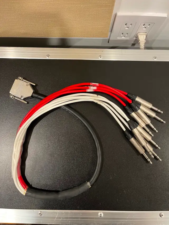 BRTB Viper DB25 To TRS 3 Foot Snake