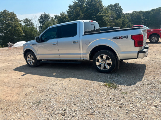 ford f150 in Cars & Trucks in Owen Sound - Image 2