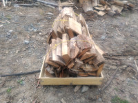 Bundles of fire wood. $10 for 1 or 3 for $25