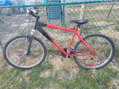 Vélo de montagne, View more