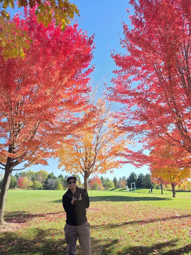 Relaxing Man-to-Man Massage gta & scarborough in Massage Services in City of Toronto - Image 3