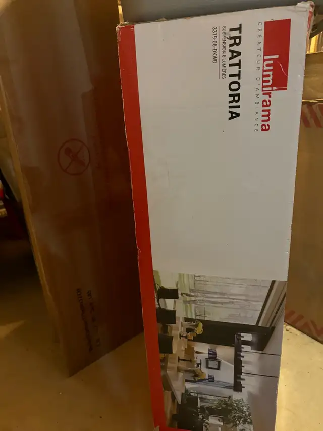 Pendant Light in Indoor Lighting & Fans in Belleville - Image 4