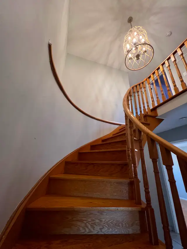 5 bedroom  house for rent Sheridan Clg Brampton - Ray Layson