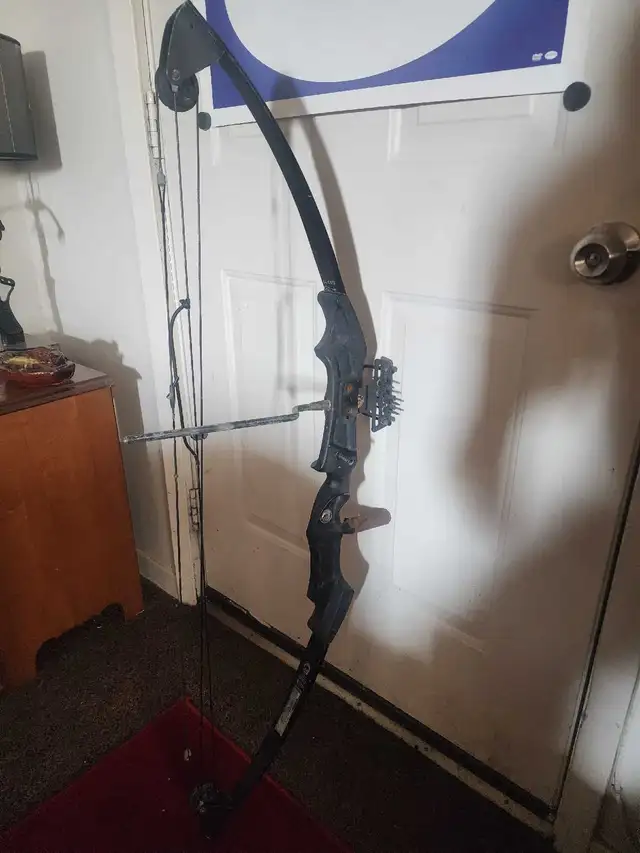 Hunting BOW in Fishing, Camping & Outdoors in Norfolk County - Image 6