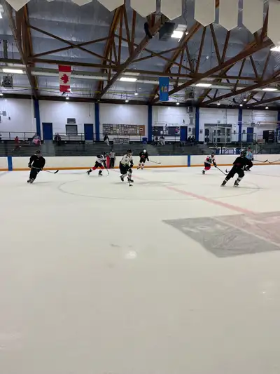 Shinny Hockey Skaters Wanted. Weekend Games, View more