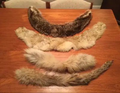 Fur collars, View more