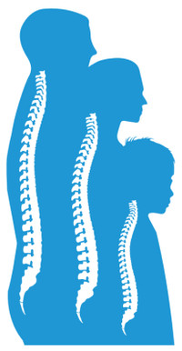 POSITION TO FILL: Part Time Chiropractic Assistant