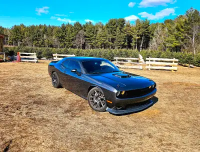 À VENDRE – Dodge Challenger 392 HEMI Scat Pack Shaker – 2017 – 87 000 km – V8 6.4L – 485 ch Muscle c...