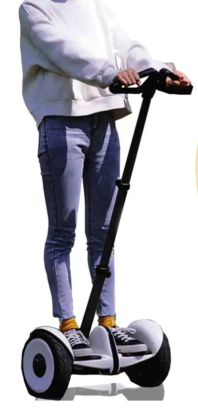 Segway Ninebor S, View more