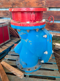 12 INCH WATER VALVE