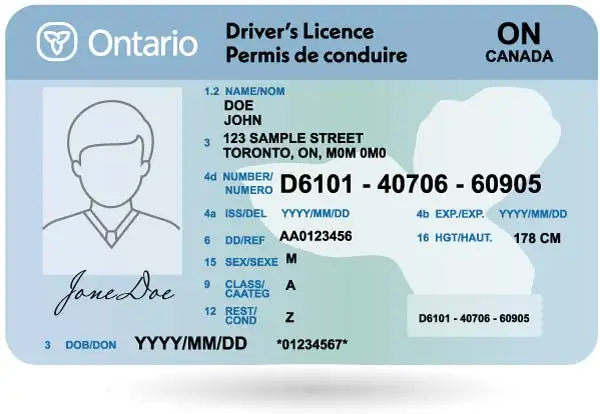DRIVING INSTRUCTOR + EXAMINER63860085878401120